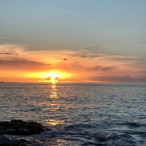 Meet your Posher, Sadie